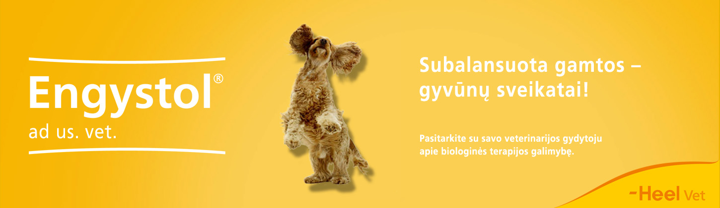 Engystol gyvunu sveikatai