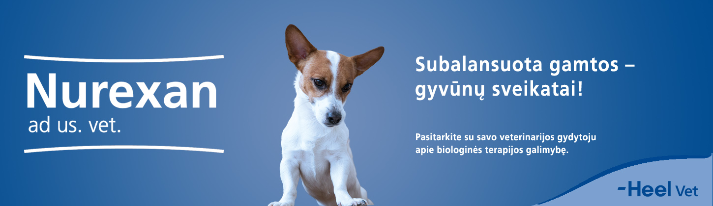 banerisNUREXAN1450x420